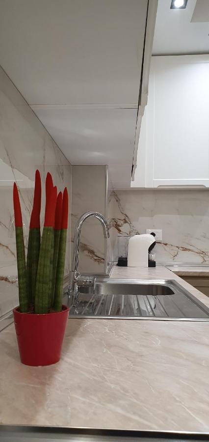 Luxury Drijon Apartments 3J Шкодер Екстер'єр фото